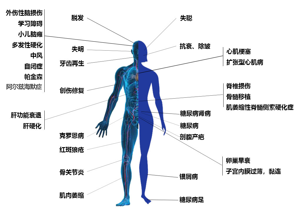 男女疾病的图2.jpg